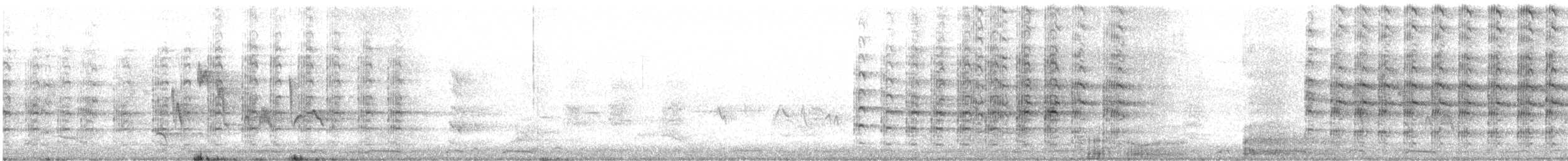 čejka australská (ssp. miles) - ML445339581