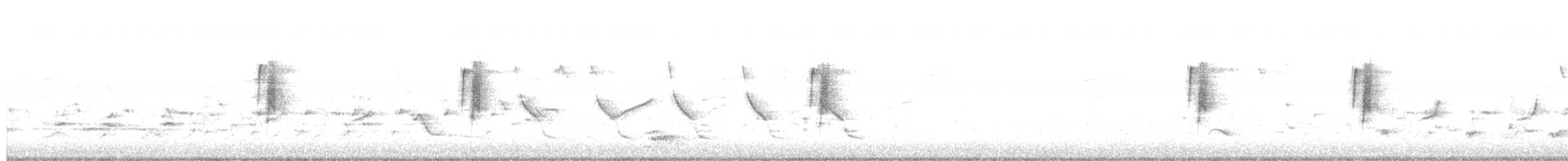 Empidonax sp. - ML445363511