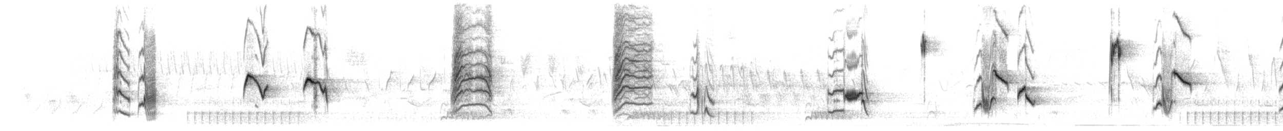 Miaulari grisa - ML445458081