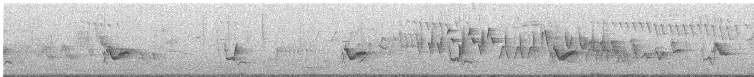 solitary vireo sp. - ML445458551