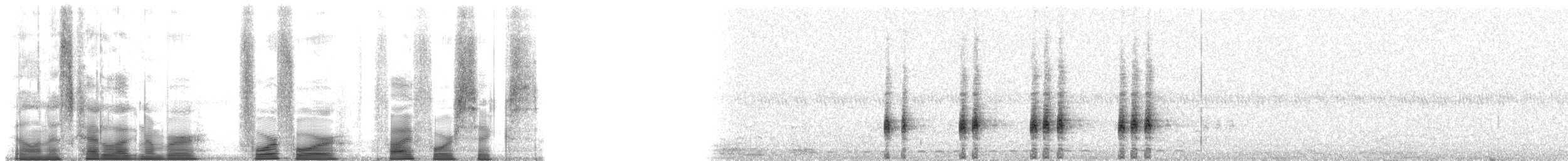Virginiaralle - ML44546