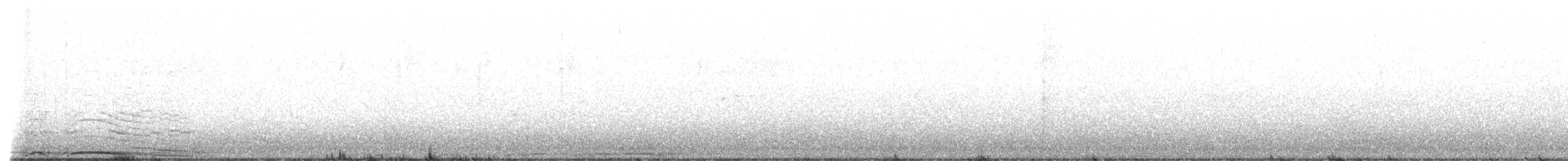 Chouette rayée - ML445491541