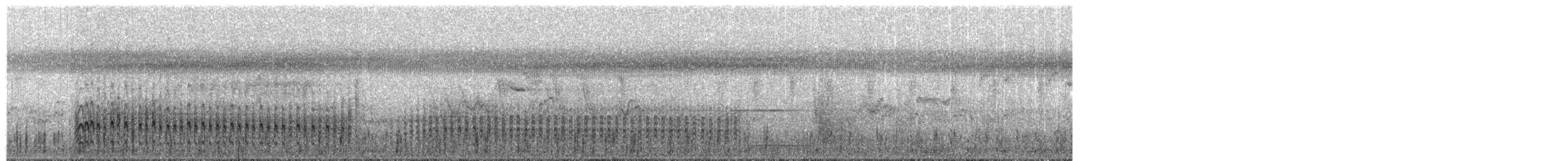 Spotless Crake - ML44555121