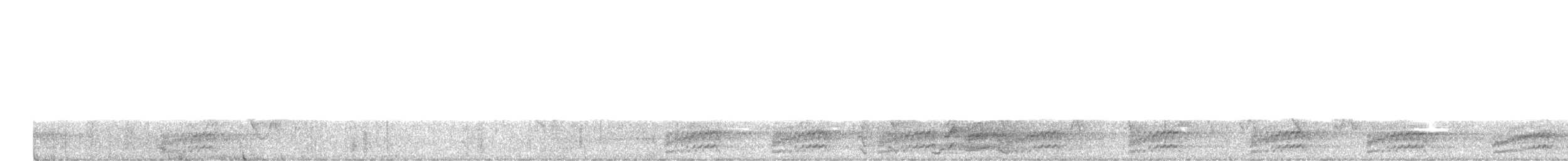 White-necked Crow - ML445623191