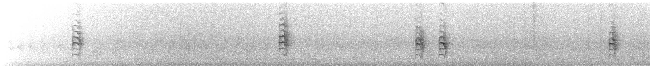 Camaroptère à tête grise (groupe brevicaudata) - ML445626831