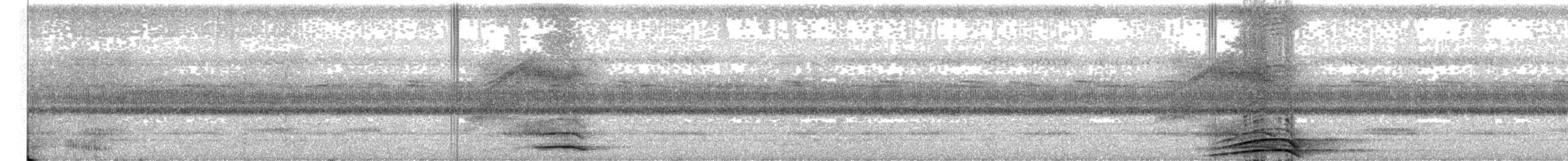 Сова-лісовик смугаста - ML445636721