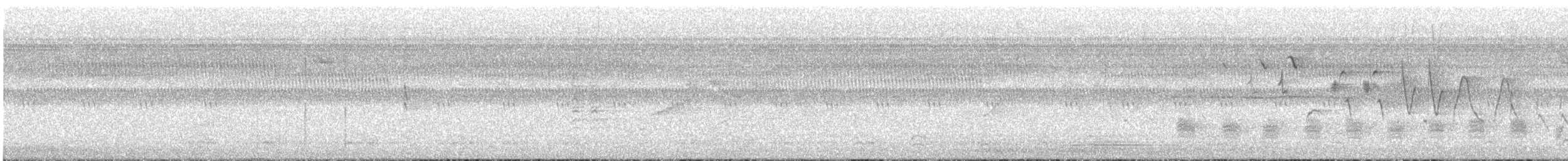 オオアメリカムシクイ - ML445639491