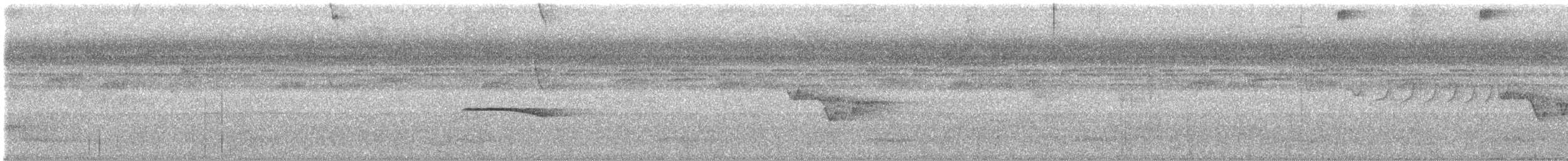 Tinamou de Berlepsch - ML445740281