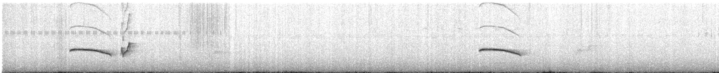 Uzun Gagalı Napoter - ML44578421