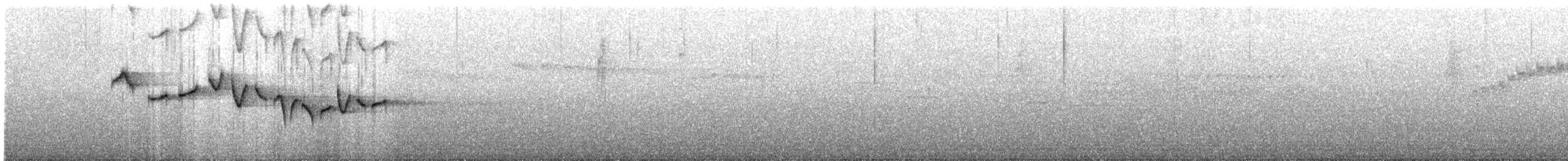 Тимелія-куцохвіст велика (підвид albiventer/pallidior) - ML44581531