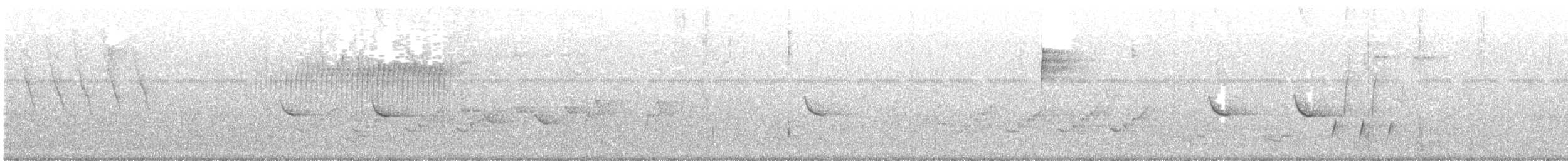 Paruline vermivore - ML445894381