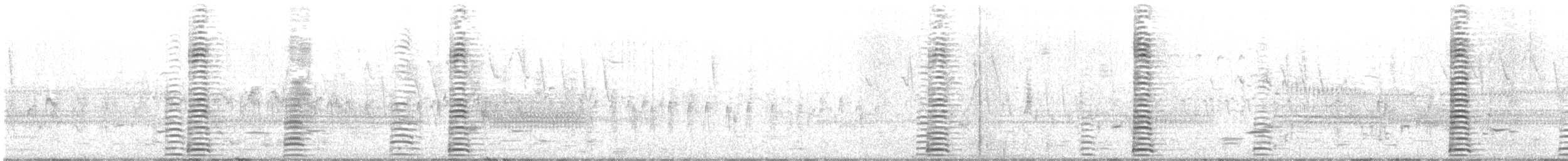 Cygne trompette - ML445904711