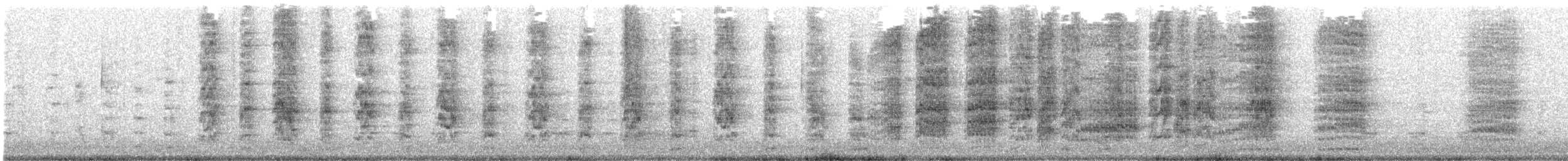 和尚鸚鵡 - ML44594211