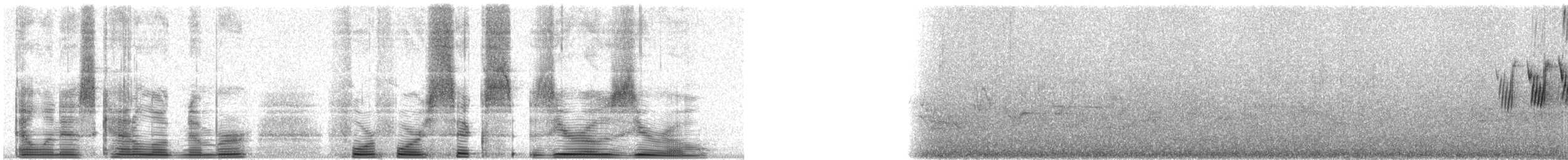 MacGillivray's Warbler - ML44600