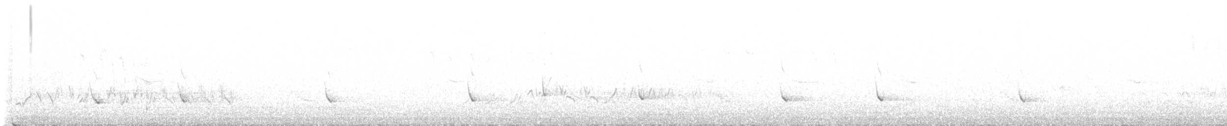 White-tailed Kite - ML446066311