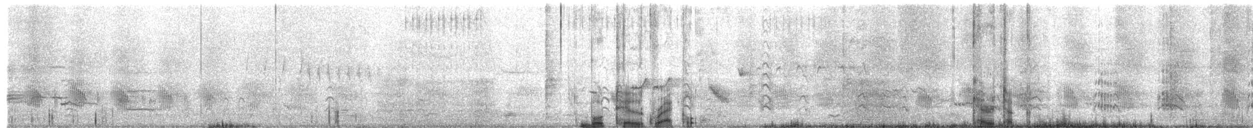 båthaletrupial - ML446108431