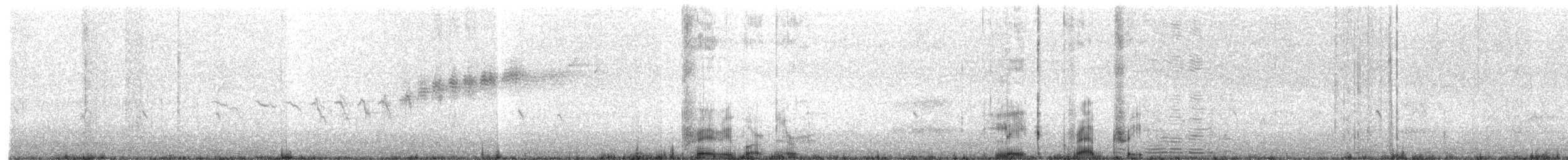 チャスジアメリカムシクイ - ML446111261