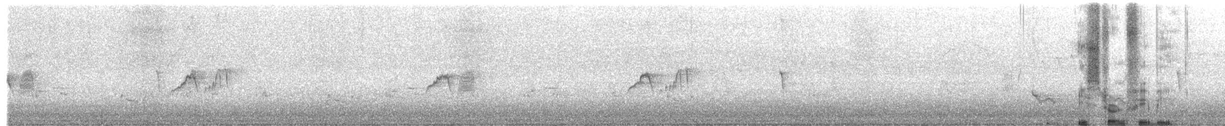 gråfibi - ML446111311