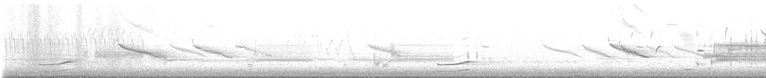 カオグロクイナ - ML446121291