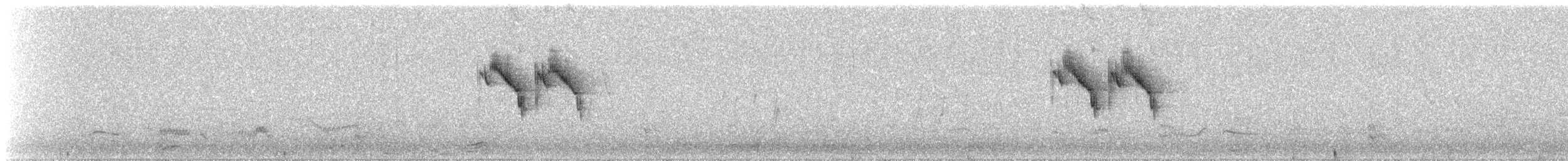 Western Yellow Wagtail (flava) - ML446135391