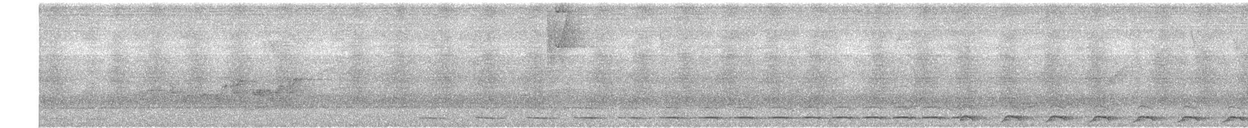 Kısa Kuyruklu Karıncaardıcı - ML446164181