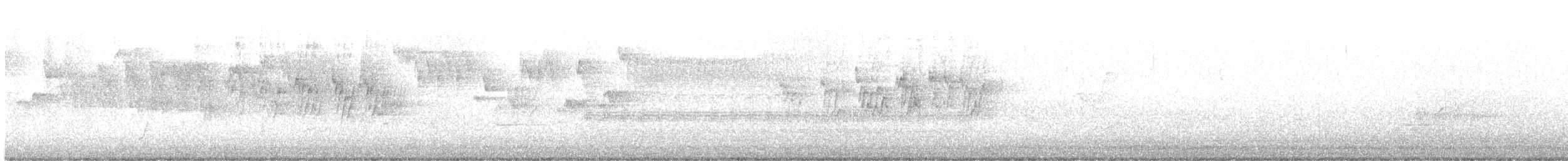 MacGillivray's Warbler - ML446166071