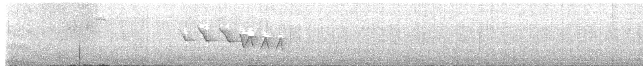 Paruline hochequeue - ML446172171