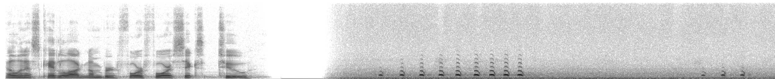 Western Screech-Owl (Northern) - ML4462