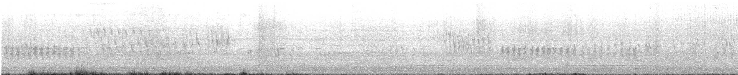 křivka bělokřídlá - ML446246651