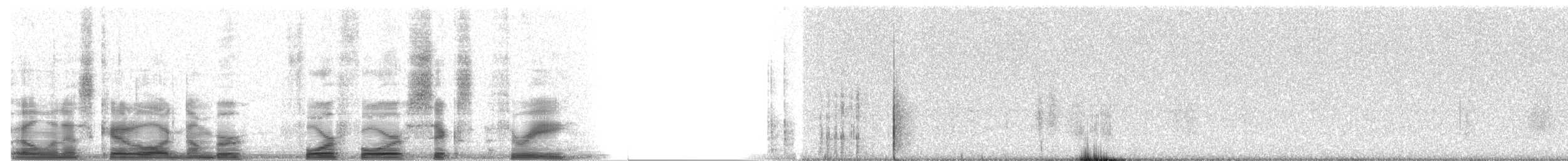 Western Screech-Owl (Northern) - ML4463