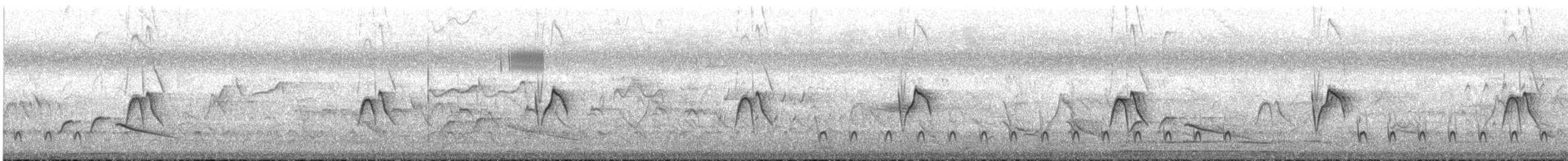 Тиранчик-короткодзьоб північний - ML446383611