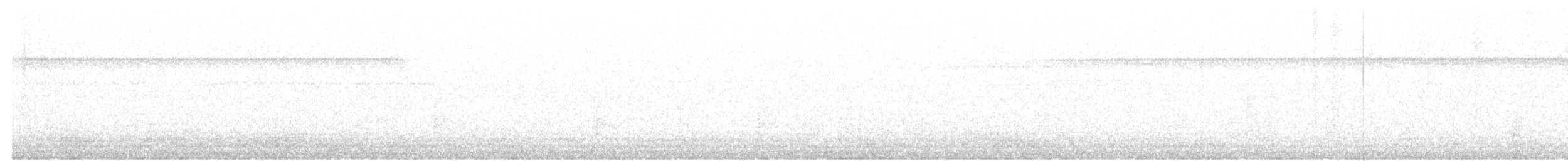 Pauraquenachtschwalbe - ML44639541