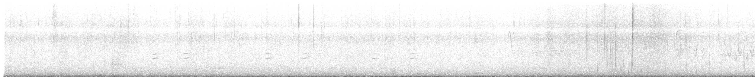 křivka bělokřídlá - ML446395811