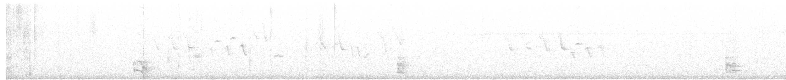 Glanzspottdrossel - ML44641421