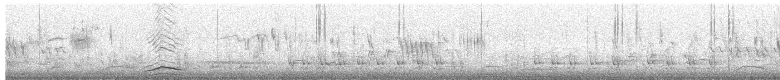 Helmwachtel - ML446415321