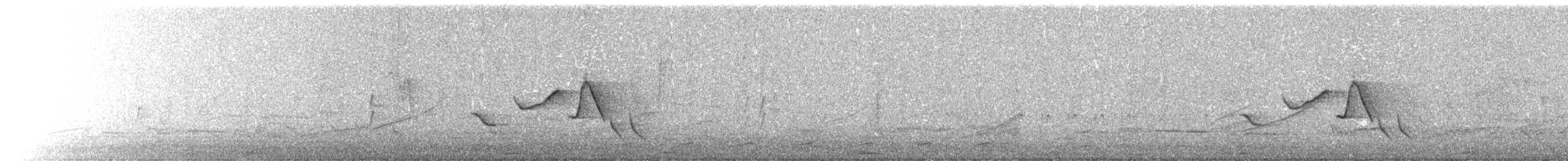 Гвианский крапивник - ML446461641