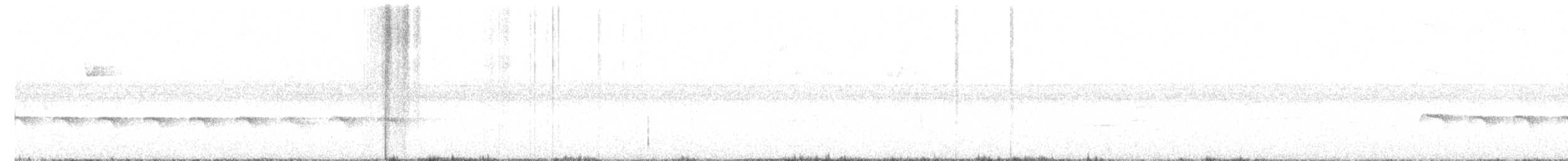 Zeledon Karıncakuşu - ML446573121
