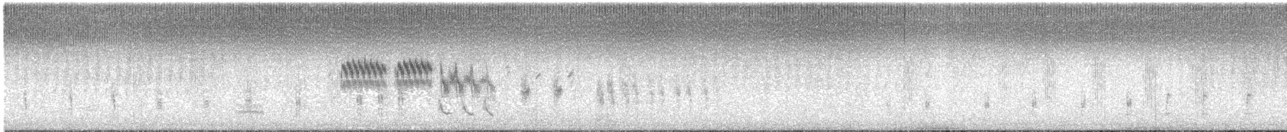 Pallasammer - ML44658531