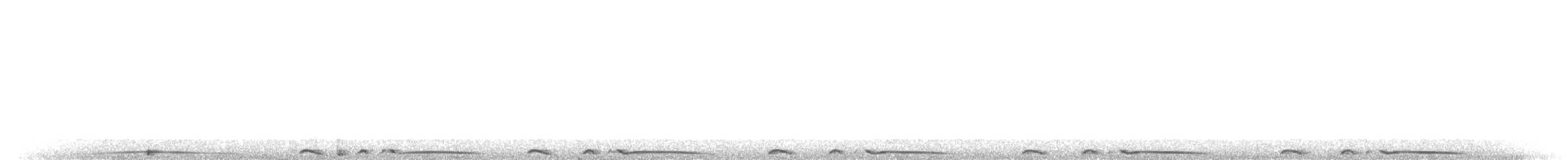 holub středoamerický - ML446599571