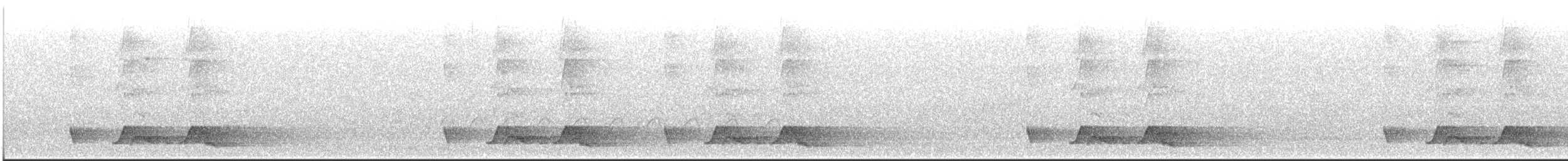 Chuck-will's-widow - ML446736931