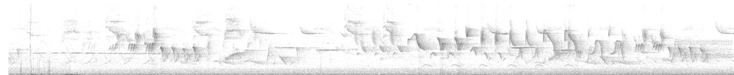 Graukopf-Waldsänger - ML446759551