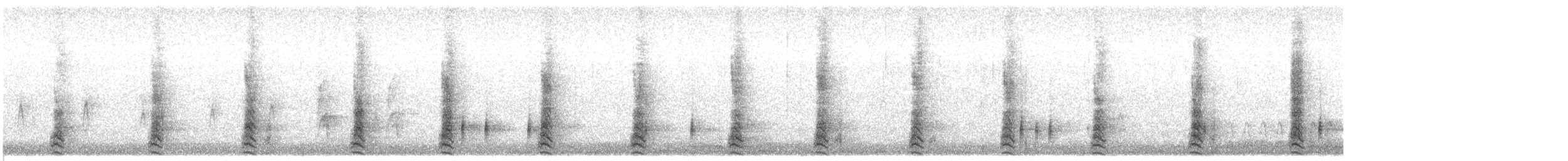 Marzaiola americana - ML446793861
