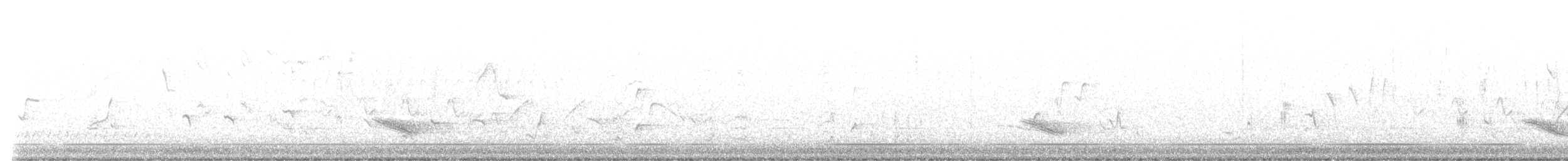 Zorzalito Rojizo - ML446810371