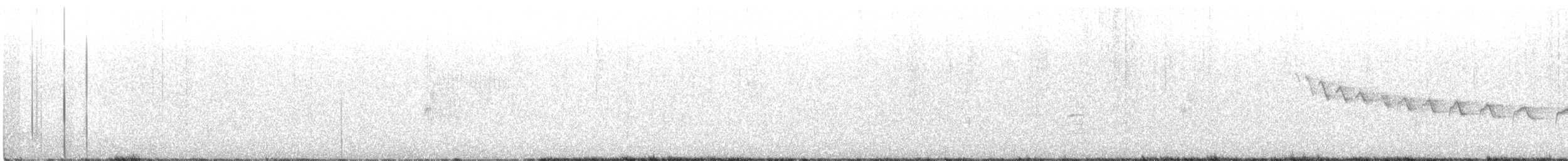 Каньонный крапивник - ML446857521