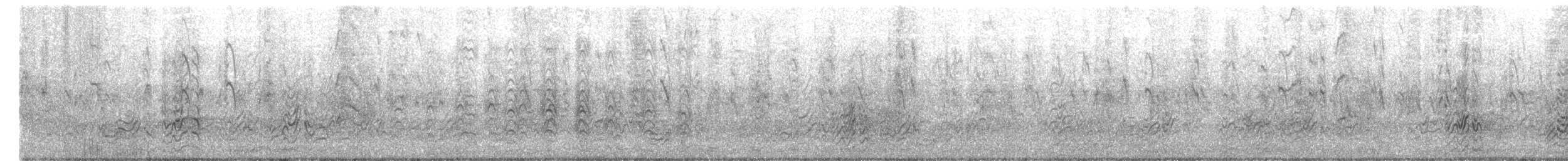 烏領燕鷗 - ML446902961
