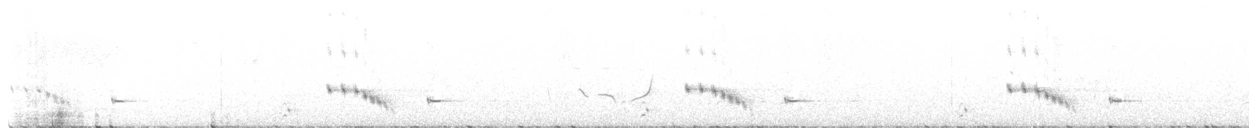 Psophode à menton noir - ML446909491