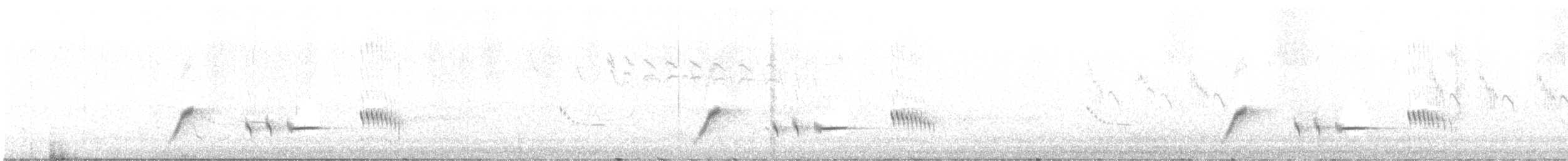 Kara Boğazlı Kamçıkuşu - ML446909501