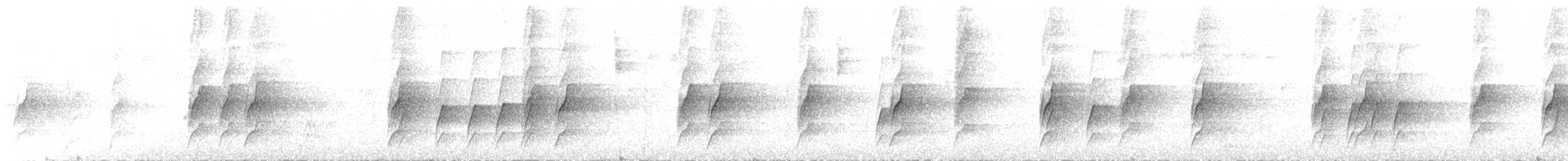 Orthonyx de Temminck - ML446940491