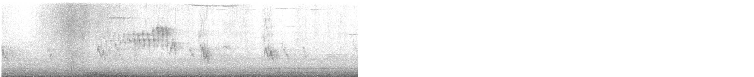 Northern Parula - ML447024251