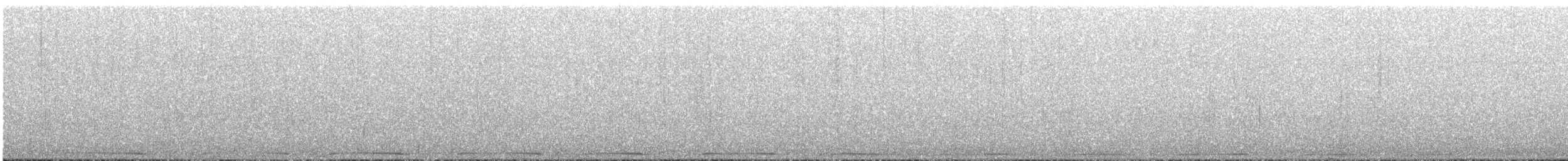 holub atolový - ML447027101
